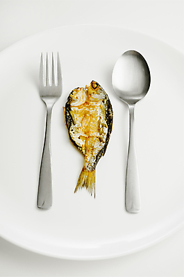 포토 JPG 해외이미지 음식 포크 어류 사람없음 머리 숟가락 죽음 해산물 꼬리 절임 짠맛 해외포토 식기 수저 신체부위 수중동물 맛 파일형식 이미지허브