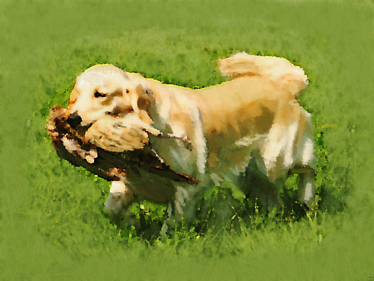 포토 JPG 해외이미지 동물 캐릭터 실루엣 새끼 포즈 장난 가족 조류 오리 사람없음 반려동물 달리기 걷기 귀여움 우정 총 황금 개 리트리버 강아지 기름 스케치 그림 사냥 윤곽 손그림 사냥꾼 수의사 단아함 해외포토 직업 무기 음식 컨셉 포유류 관계 모션 촬영기법 미술 친구 의사 파일형식 이미지허브