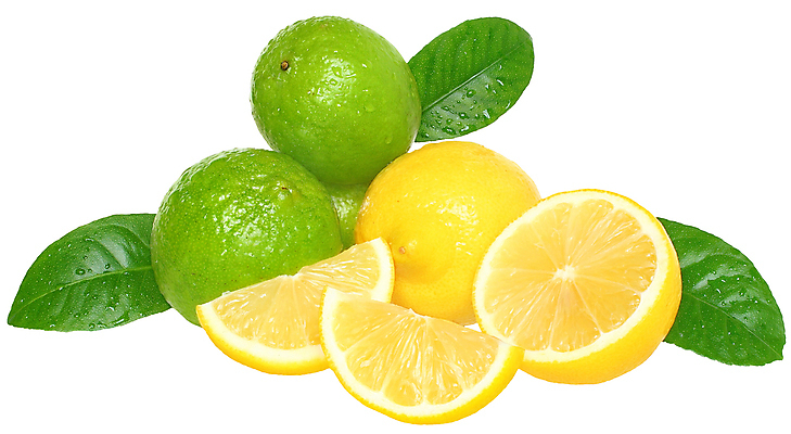 포토 JPG 해외이미지 음식 조각 잎 과일 부분 귤 건강 사람없음 초록색 젖음 껍질 신선 그룹 떨어짐 자르기 레몬 가득함 유기농 날것 라임 고립 숙성 해외포토 식물 웰빙 컬러 컨셉 모션 파일형식 이미지허브