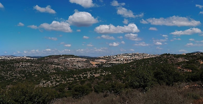 포토 JPG 해외이미지 나무 구름 중동 자연 하늘 주택 파노라마 협상 풍경 사람없음 야외 초록색 여름 파란색 마을 숲 지중해 언덕 타운 슬로프 대패 이스라엘 수평선 해외포토 자연요소 식물 계절 나라 바다 컬러 비즈니스 스키장 촬영기법 건물 도시 생태계 서아시아 파일형식 이미지허브