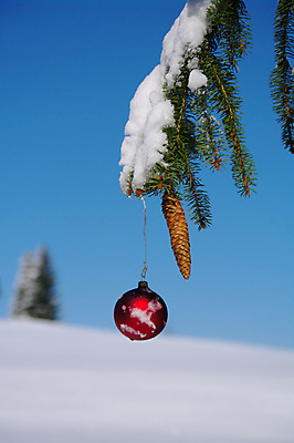 포토 JPG 해외이미지 나무 식물 1 전통 계절 백그라운드 크리스마스 겨울 공 자연 휴가 기념 사람없음 야외 장식 빨간색 크리스마스트리 평화 축제 장식볼 추위 흰색 나뭇가지 소나무 원형 눈송이 고독 12월 묘사 싱글 침엽수 전나무 원뿔 강렬 노엘 눈내림 해외포토 도형 기념일 감정 컬러 컨셉 눈_날씨 날짜 생태계 파일형식 이미지허브