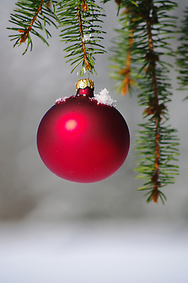 포토 JPG 해외이미지 나무 식물 1 전통 디자인 계절 크리스마스 겨울 밭 공 자연 휴가 기념 사람없음 야외 장식 빨간색 크리스마스트리 평화 우주 축제 장식볼 추위 흰색 나뭇가지 소나무 원형 눈송이 고독 12월 묘사 싱글 심플 전나무 강렬 노엘 눈내림 해외포토 도형 기념일 감정 컬러 컨셉 농업 눈_날씨 날짜 생태계 파일형식 이미지허브