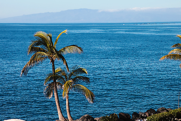 포토 JPG 해외이미지 나무 식물 아시아 모래 바다 섬 여행 잎 태국 자연 휴가 휴식 파노라마 손바닥 풍경 사람없음 야외 초록색 태양 맑음 침묵 고요 일몰 꿈 만 고독 심볼 조용 코코넛 내추럴 서인도제도 이국적 파라다이스 해외포토 자연요소 손 감정 나라 컬러 컨셉 과일 날씨 촬영기법 노을 소리 생태계 파일형식 이미지허브