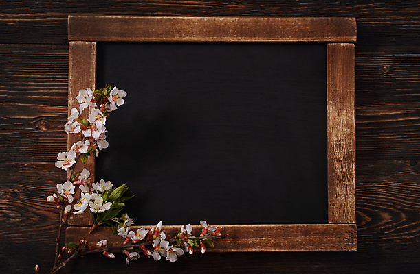 포토 JPG 해외이미지 교육 꽃 어린이 꽃무늬 통신 학교 프레임 사람없음 목재 학습 칠판 공백 수확 벚꽃 흰색 시골 판넬 메시지 그림 복고 각도 머리위 석판 옛날 카피스페이스 해외포토 나무 식물 컬러 무늬 농업 재료 사람 파일형식 이미지허브