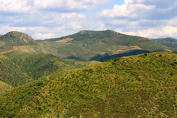 포토 JPG 해외이미지 나무 유럽 밭 자연 하늘 휴가 산 풍경 사람없음 야외 초록색 여름 파란색 농장 봄 포르투갈 언덕 그림 내추럴 해외포토 식물 계절 나라 컬러 농업 생태계 파일형식 이미지허브