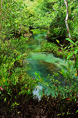 포토 JPG 해외이미지 나무 식물 라이프스타일 웰빙 노래 자국 태국 자연 휴식 건강 미술 사람없음 야외 물 파란색 스파 놀람 활발 거품 폭포 젖음 개울 습지 숲 크리스탈 소중 휴양지 질감 뿌리 운하 내추럴 돌봄 민물 해외포토 자연요소 감정 아시아 음악 컬러 컨셉 모션 문화예술 표정 생활 강 장소 광석 생태계 파일형식 이미지허브