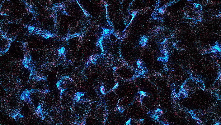 포토 JPG 해외이미지 계절 별 과학 백그라운드 크리스마스 모션 추상 휴가 미래 부활절 숙이기 사람없음 빛 반짝임 파티 우주 놀람 줄무늬 흐름 에너지 축하 인사 생일 심볼 디스코 공상 마법 애니메이션 광 더스트파티클 효과 해외포토 자연요소 기념일 감정 음악 포즈 컨셉 무늬 표정 이벤트 춤 예절 파일형식 이미지허브