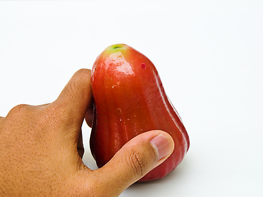 포토 JPG 해외이미지 음식 분홍색 조각 백그라운드 과일 재료 태국 사랑 사람없음 가로 빨간색 물 장미 종 흰색 신선 그룹 달콤 사과 흰배경 날것 고립 왁스 이국적 해외포토 자연요소 꽃 감정 아시아 컬러 맛 파일형식 이미지허브