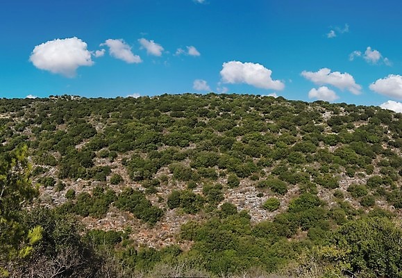 포토 JPG 해외이미지 구름 지구 자연 하늘 산 풍경 경사 사람없음 야외 초록색 파란색 컬러풀 시골 언덕 질감 해외포토 자연요소 컬러 생태계 파일형식 이미지허브