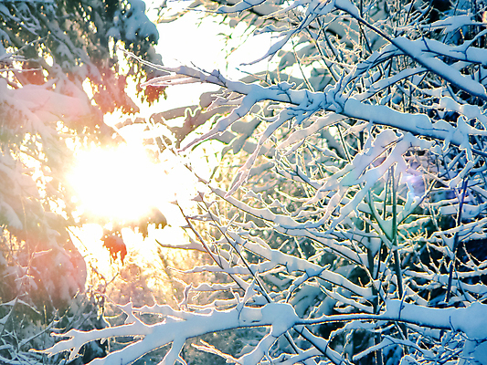 포토 JPG 해외이미지 나무 계절 길 여행 백그라운드 크리스마스 겨울 자연 하늘 동화 휴가 산 파노라마 핀란드 사람없음 야외 파란색 얼음 추위 덮개 흰색 시골 저녁 숲 시원함 즐거움 서리 러시아 눈보라 내추럴 시베리아 폭설 눈내림 해외포토 자연요소 식물 기념일 감정 유럽 컬러 눈_날씨 촬영기법 북유럽 뚜껑 야간 자연재해 생태계 파일형식 이미지허브