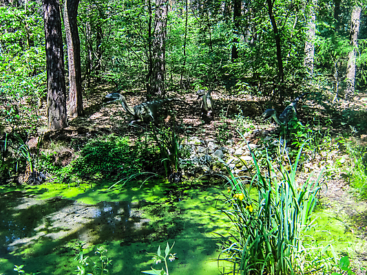 포토 JPG 해외이미지 얼굴 백그라운드 파충류 사람없음 야외 초록색 여름 머리 전시 용 닫기 소프트포커스 큼 오솔길 전시회 공룡 도마뱀 화석 목 선사시대 거인 몬스터 복원 인공 초식 쥬라기 해외포토 동물 계절 길 컬러 모션 촬영기법 신체부위 역사 크기 파일형식 이미지허브