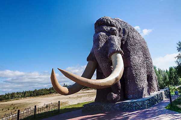 포토 JPG 해외이미지 동물 계절 문화 여행 백그라운드 포유류 자연 하늘 코끼리 풍경 사람없음 야외 빨간색 파란색 조각상 뷰티 환경 금속 도시 만 작업 폐기물 야간 북극 철 러시아 장면 북쪽 기념물 멸종위기동물 바르셀로나 천연기념물 내추럴 매머드 해외포토 자연요소 유럽 컬러 재질 조형물 스페인 쓰레기 극지방 방향 생태계 파일형식 멸종위기종 이미지허브