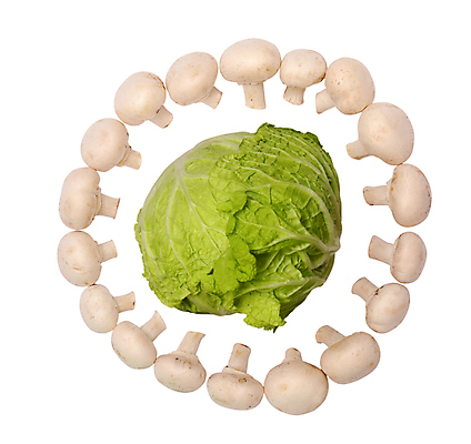 포토 JPG 해외이미지 음식 줄기 잎 농업 다이어트 채소 재료 건강 요리 사람없음 초록색 식사 저녁식사 중국 버섯 샐러드 흰색 신선 혼합 상추 수집 먹기 유기농 양배추 날것 모음 점심식사 식용 채식주의자 해외포토 식물 웰빙 산업 아시아 컬러 모션 한글 채식 파일형식 이미지허브