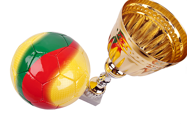 포토 JPG 해외이미지 스포츠 축구공 공 놀이 성공 기술 취미 사람없음 컵 금속 축구 경쟁 장비 게임 흰색 축하 우승 사발 황금 발사 상패 트로피 오브젝트 싱글 명예 고립 승자 챔피언 필승 스타일 완전 해외포토 레이스천 식기 컬러 컨셉 축구용품 재질 구기 직물 최고 사기그릇 상_우승 파일형식 이미지허브