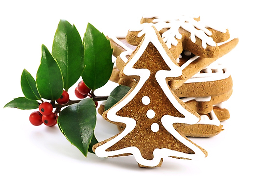 포토 JPG 해외이미지 나무 전통 별 음식 크리스마스장식 크리스마스 휴가 디저트 사람없음 장식 갈색 얼음 하트 달콤 굽기 심볼 핸드메이드 해외포토 자연요소 모양 식물 기념일 컬러 맛 구이 파일형식 이미지허브