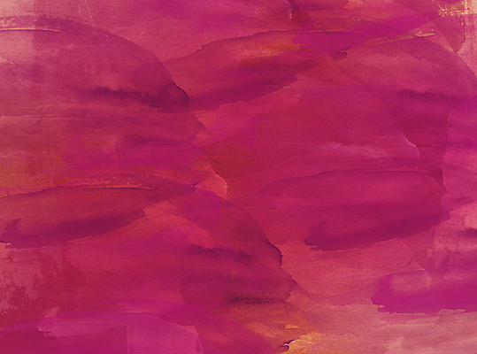 포토 JPG 해외이미지 디자인 백그라운드 사람없음 트렌드컬러 비바마젠타 해외포토 컬러 파일형식 이미지허브