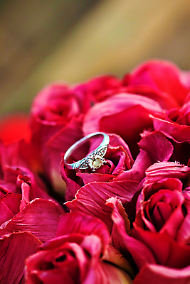 포토 JPG 해외이미지 전통 꽃잎 꽃 결혼 잎 관계 탁자 결혼식 발렌타인데이 선물 사랑 사람없음 목재 장식 빨간색 빛 상자 장미 검은색 낭만 흰색 반지 악단 황금 고급 우아함 보석 심볼 오브젝트 기회 다이아몬드 약혼 특별함 해외포토 나무 식물 감정 음악 컬러 가구 컨셉 재료 장신구 데이이벤트 이벤트 광석 약속 파일형식 이미지허브