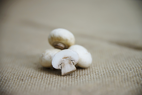 포토 JPG 해외이미지 식물 음식 백그라운드 다이어트 채소 재료 자연 파슬리 건강 요리 사람없음 갈색 식사 버섯 수확 흰색 신선 그룹 칼 맛 정상 자르기 먹기 유기농 날것 슬라이스 내추럴 고립 곰팡이 생식 숙성 식용 정육점 채식주의자 비건 맛있는 해외포토 웰빙 컬러 컨셉 농업 모션 상점 생태계 채식 파일형식 이미지허브