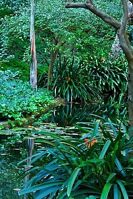 포토 JPG 해외이미지 나무 식물 공원 호수 잎 건축양식 자연 휴식 손바닥 풍경 사람없음 야외 목재 초록색 물 여름 강 컬러풀 반사 평화 걷기 산책 폭포 가을 역사 스페인 숲 작음 그늘 명상 속도 활 원예 내추럴 안달루시아 양치류 옛날 해외포토 자연요소 손 계절 공공시설 건축 유럽 컬러 컨셉 재료 모션 취미 크기 생태계 파일형식 이미지허브