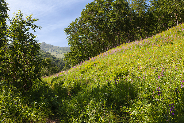 포토 JPG 해외이미지 계절 호수 여행 자연 하늘 산 파노라마 경사 사람없음 야외 파란색 환경 맑음 하이킹 숲 폭발 생태계 화산 러시아 멀리 동쪽 원뿔 내추럴 절정 해외포토 도형 유럽 컬러 레저 날씨 촬영기법 방향 파일형식 이미지허브