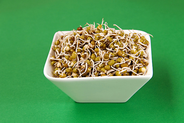 포토 JPG 해외이미지 식물 음식 콩 건강 씨앗 사람없음 초록색 새싹 성장 맥박 모종 해외포토 컬러 의학 곡류 파일형식 이미지허브