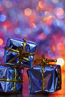 포토 JPG 해외이미지 나무 디자인 계절 행복 별 백그라운드 크리스마스 겨울 패턴 공 추상 휴가 전등 새로움 선물 사람없음 목재 장식 빨간색 빛 상자 우주 축제 장식볼 종 흰색 나뭇가지 축하 신용카드 눈송이 황금 소프트포커스 12월 연도 질감 보케 전나무 해외포토 자연요소 식물 기념일 감정 컬러 컨셉 무늬 재료 조명 눈_날씨 촬영기법 금융 날짜 파일형식 이미지허브