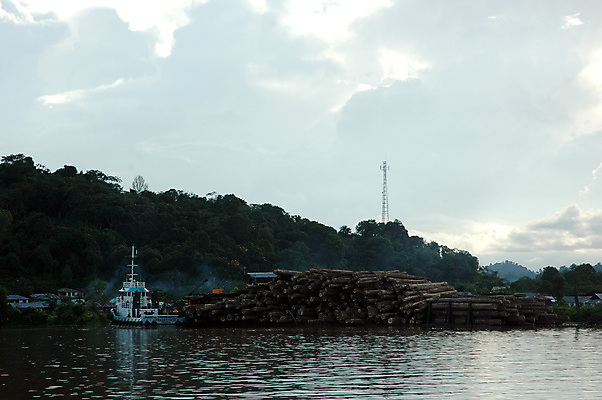 포토 JPG 해외이미지 나무 산업 백그라운드 겨울 패턴 자연 불 추상 사람없음 목재 가로 갈색 쌓기 환경 에너지 시골 소나무 뜨거움 원형 거친 막대기 주식 숲 장작 자르기 질감 날것 통나무 나무껍질 연료 수납 자원 잡동사니 흙더미 다리찢기 내추럴 벌목 수목 해외포토 자연요소 도형 식물 계절 컬러 무늬 재료 모션 금융 흙 껍질 생태계 파일형식 더미 이미지허브