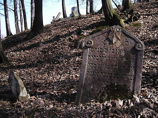 포토 JPG 해외이미지 나무 사람없음 목재 가을 바위 무덤 과수원 비석 대리석 유대인 해외포토 식물 계절 농업 재료 돌_바위 파일형식 이미지허브