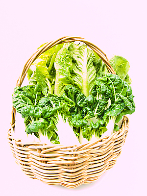 포토 JPG 해외이미지 식물 음식 줄기 백그라운드 잎 농업 다이어트 채소 재료 자연 건강 요리 동양인 사람없음 초록색 여름 빛 컬러풀 농장 머리 바구니 식사 저녁식사 중국 봄 샐러드 튀김 아기 신선 맛 상추 자르기 먹기 오브젝트 싱글 흰배경 유기농 질감 양배추 날것 비타민 내추럴 점심식사 고립 식용 채식주의자 해외포토 웰빙 계절 산업 아시아 컬러 컨셉 모션 사람 인종 신체부위 흰색 생태계 채식 영양소 파일형식 이미지허브