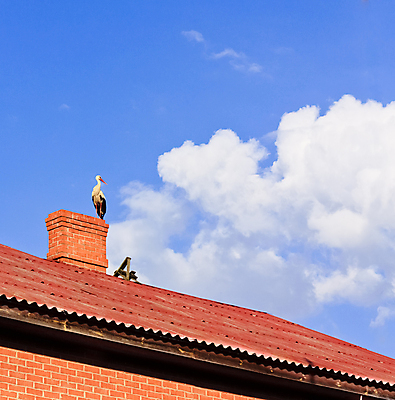 포토 JPG 해외이미지 동물 구름 응시 계절 야생동물 날개 건축양식 조류 하늘 지붕 주택 서기 앉기 사람없음 야외 빨간색 여름 파란색 햇빛 뷰티 농장 봄 흰색 정상 심볼 깃털 부리 황새 해외포토 자연요소 시선 건축 컬러 농업 모션 건물 태양 파일형식 이미지허브