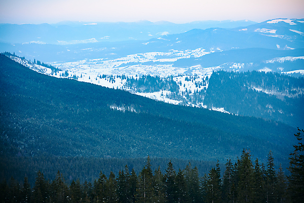 포토 JPG 해외이미지 나무 계절 여행 백그라운드 크리스마스 겨울 자연 하늘 동화 휴가 산 경사 사람없음 야외 목재 파란색 빛 냉동 얼음 놀람 추위 안개 덮개 백발 흰색 신선 숲 언덕 즐거움 서리 전나무 눈보라 폭설 눈내림 가문비나무 환상 해외포토 자연요소 식물 헤어스타일 기념일 감정 컬러 컨셉 재료 날씨 눈_날씨 표정 뚜껑 자연재해 생태계 파일형식 이미지허브