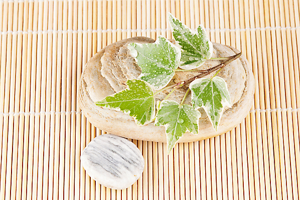 포토 JPG 해외이미지 식물 라이프스타일 아시아 선 줄기 백그라운드 컨셉 잎 자연 휴식 건강 동양인 사람없음 장식 초록색 물 뷰티 쌓기 평화 정원 일본 스파 화목 침묵 봄 젖음 조약돌 바위 물방울 신선 마사지 대나무 순수 명상 테라피 내추럴 샤워실 해외포토 자연요소 나무 계절 나라 컬러 모션 인종 생활 소리 돌_바위 생태계 샤워시설 파일형식 이미지허브