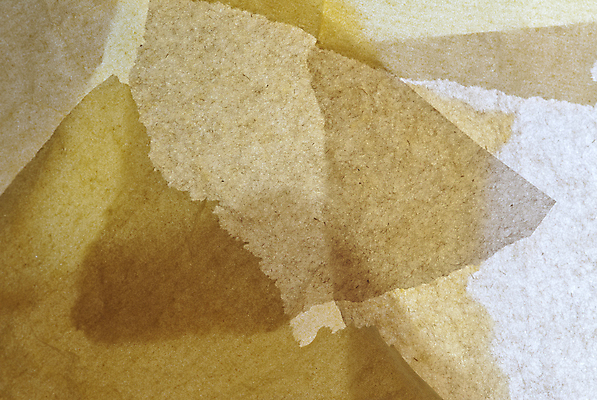 포토 JPG 해외이미지 종이 백그라운드 패턴 오렌지 추상 사람없음 흰색 조직 가장자리 찢어짐 해외포토 컬러 무늬 과일 모션 둘레 파일형식 이미지허브