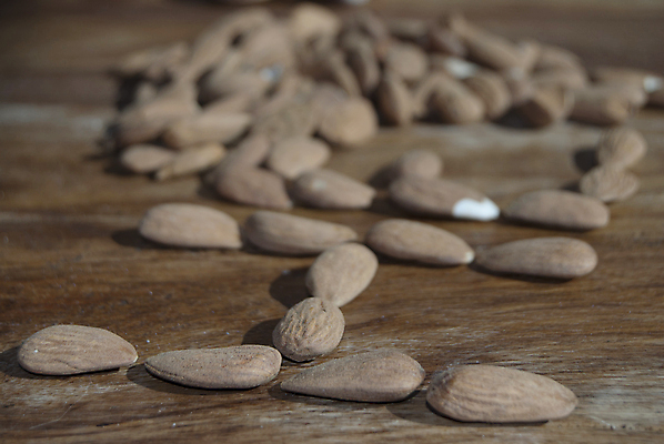 포토 JPG 해외이미지 음식 백그라운드 과일 재료 건강 3 사람없음 갈색 젖음 견과류 그룹 변화 기름 혼합 수집 아몬드 모음 흙더미 고립 식용 오메가 캐슈넛 개암 해외포토 열매 컬러 컨셉 흙 파일형식 더미 이미지허브