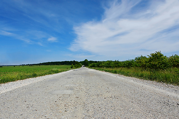포토 JPG 해외이미지 나무 식물 구름 도로 밭 하늘 거리 풍경 사람없음 초록색 여름 파란색 손상 덮개 흰색 시골 숲 아스팔트 과수원 바퀴자국 만족 안심 옛날 해외포토 자연요소 계절 감정 길 컬러 컨셉 농업 교통시설 자국 육류 뚜껑 파일형식 이미지허브