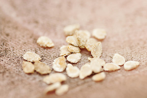 포토 JPG 해외이미지 식물 백인 전통 손 컨셉 농업 토마토 채소 손가락 자연 미래 새로움 건강 씨앗 사람 취미 사람없음 야외 농작물 정원 희망 흙 봄 잡기 작업 작음 묘사 시작 준비 유기농 원예 먼지 내추럴 땅바닥 밭일 조작 파종 세련 해외포토 서양인 웰빙 계절 감정 산업 모션 바닥 신체부위 농사 크기 생태계 파일형식 이미지허브