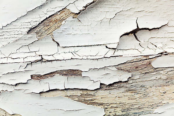 포토 JPG 해외이미지 여행 백그라운드 건축양식 사람없음 목재 맑음 페인트 프랑스 도시 묘사 질감 해외포토 나무 건축 유럽 재료 날씨 파일형식 이미지허브