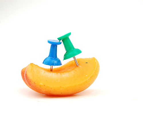 포토 JPG 해외이미지 오렌지 부분 자연 씨앗 사람없음 컬러풀 한개 갈색 노란색 신선 오픈 횡단보도 흰배경 유기농 날것 건강식 고립 살구 숙성 해외포토 식물 1 웰빙 음식 컬러 백그라운드 과일 흰색 보행로 생태계 파일형식 이미지허브