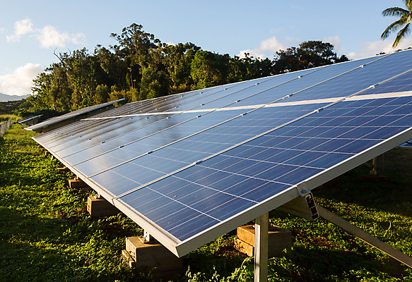 포토 JPG 해외이미지 주간 나무 하늘 사람없음 야외 맑음 태양에너지 집열판 해외포토 자연요소 식물 날씨 그린에너지 파일형식 이미지허브