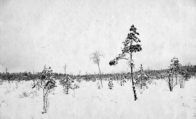 포토 JPG 해외이미지 나무 종이 과학 백그라운드 겨울 패턴 텍스트 자연 추상 프레임 사람없음 목재 책 물 갈색 쪽지 공백 손상 수확 골동품 점 얼룩 거친 균열 강의 허브 질감 복고 페이지 찢어짐 구김 구식 그런지 보관소 보유 양피지 옛날 원고 조작 노화 해외포토 자연요소 식물 계절 컬러 컨셉 무늬 농업 재료 모션 저장 생태계 파일형식 이미지허브