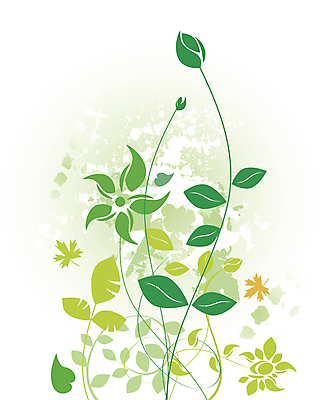 포토 JPG 해외이미지 디자인 꽃 백그라운드 컨셉 잎 패턴 일러스트 자연 미술 경사 사람없음 초록색 수확 가을 흰색 부드러움 그런지 스타일 해외일러스트 식물 계절 컬러 무늬 농업 문화예술 감각 생태계 파일형식 이미지허브