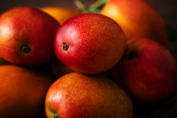 포토 JPG 해외이미지 사람없음 아웃포커스 쌓기 달콤 망고 해외포토 모션 촬영기법 맛 열대과일 파일형식 이미지허브