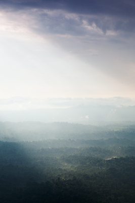 포토 JPG 해외이미지 나무 구름 계절 실루엣 아시아 여행 백그라운드 태국 자연 하늘 산 풍경 사람없음 야외 빛 햇빛 태양 환경 일몰 안개 가을 시골 황무지 숲 땅 언덕 폭풍 해외포토 자연요소 식물 나라 날씨 촬영기법 노을 생태계 파일형식 이미지허브