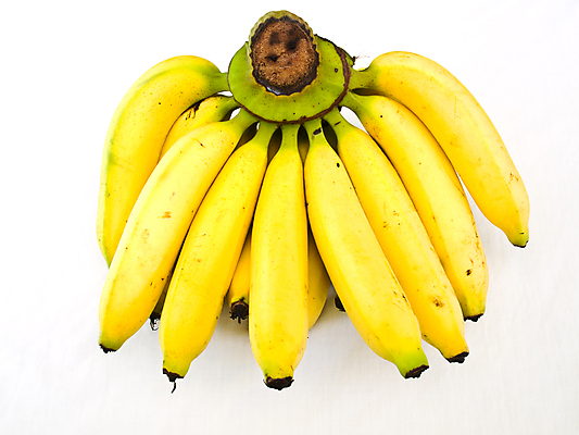 포토 JPG 해외이미지 나무 라이프스타일 음식 백그라운드 농업 다이어트 채소 과일 재료 자연 추상 바나나 건강 사람없음 노란색 껍질 흰색 신선 그룹 달콤 아침식사 다발 먹기 피부 오브젝트 상쾌 유기농 날것 내추럴 강렬 고립 숙성 채식주의자 해외포토 식물 웰빙 감정 산업 컬러 무늬 모션 생활 신체부위 식사 맛 생태계 채식 파일형식 이미지허브