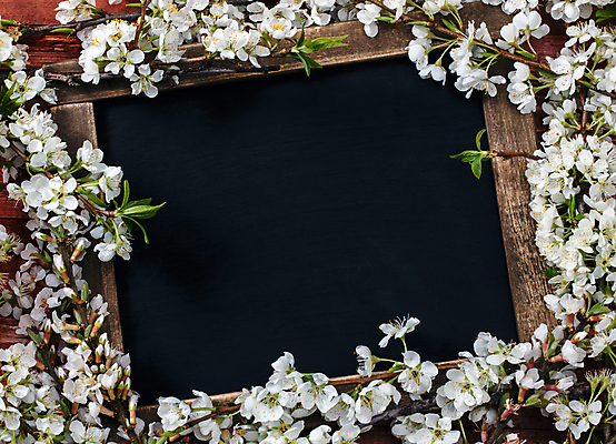 포토 JPG 해외이미지 교육 꽃 어린이 꽃무늬 통신 학교 프레임 사람없음 목재 학습 칠판 공백 수확 벚꽃 흰색 시골 판넬 메시지 그림 복고 각도 머리위 석판 옛날 카피스페이스 해외포토 나무 식물 컬러 무늬 농업 재료 사람 파일형식 이미지허브