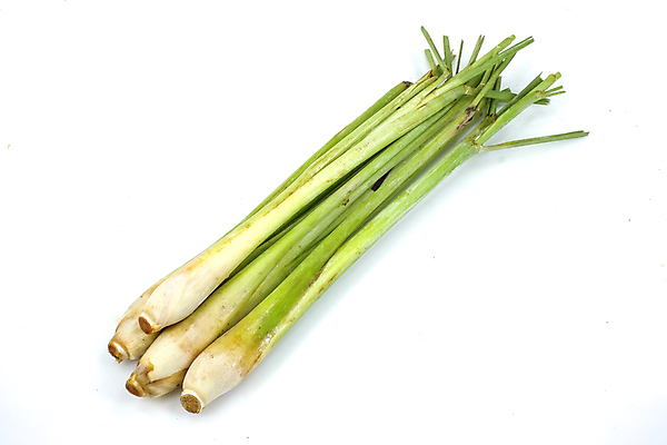 포토 JPG 해외이미지 음식 채소 재료 사람없음 초록색 신선 양념 그룹 다발 허브 향신료 보따리 흰배경 날것 고립 해외포토 식물 컬러 백그라운드 흰색 향미료 파일형식 이미지허브