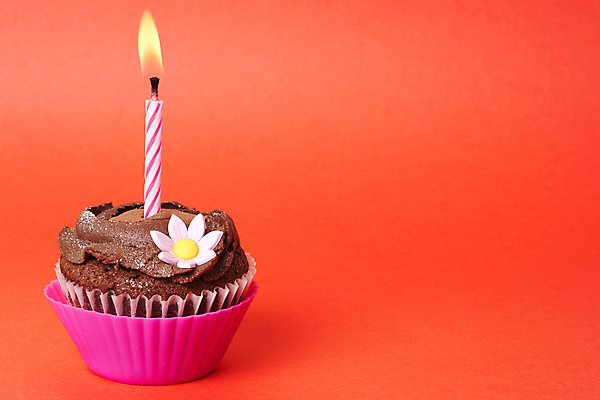 포토 JPG 해외이미지 꽃 촛불 사람없음 장식 한개 달콤 컵케이크 크림 초코케이크 카피스페이스 해외포토 식물 1 초 케이크 공백 맛 파일형식 이미지허브