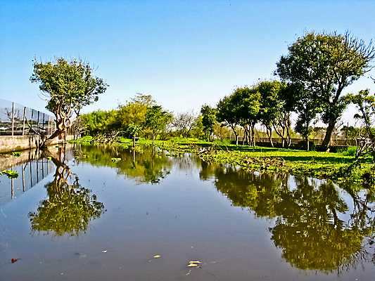 포토 JPG 해외이미지 나무 자연 산 풍경 사람없음 야외 초록색 물 반사 시골 습지 변소 에티오피아 해외포토 자연요소 식물 컬러 아프리카 생태계 파일형식 이미지허브