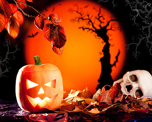 포토 JPG 해외이미지 단풍 낙엽 호박 해골 사람없음 할로윈 오브젝트 잭오랜턴 해외포토 잎 채소 뼈 파일형식 이미지허브