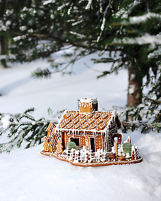 포토 JPG 해외이미지 크리스마스장식 크리스마스 새해 실내 사람없음 쿠키 달콤 해외포토 기념일 디저트 내부 맛 파일형식 이미지허브